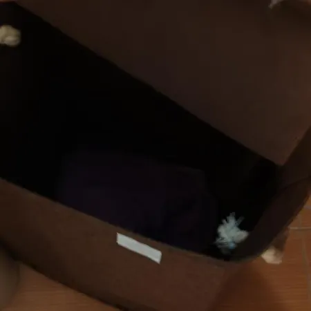 شقة Ivavev Cedarlodge بانسكو