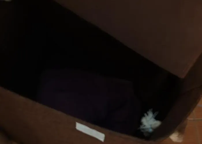 Appartement Ivavev Cedarlodge Bansko